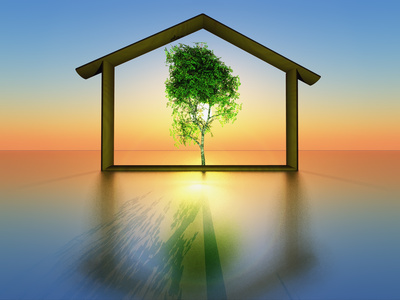 diagnostic immobilier
